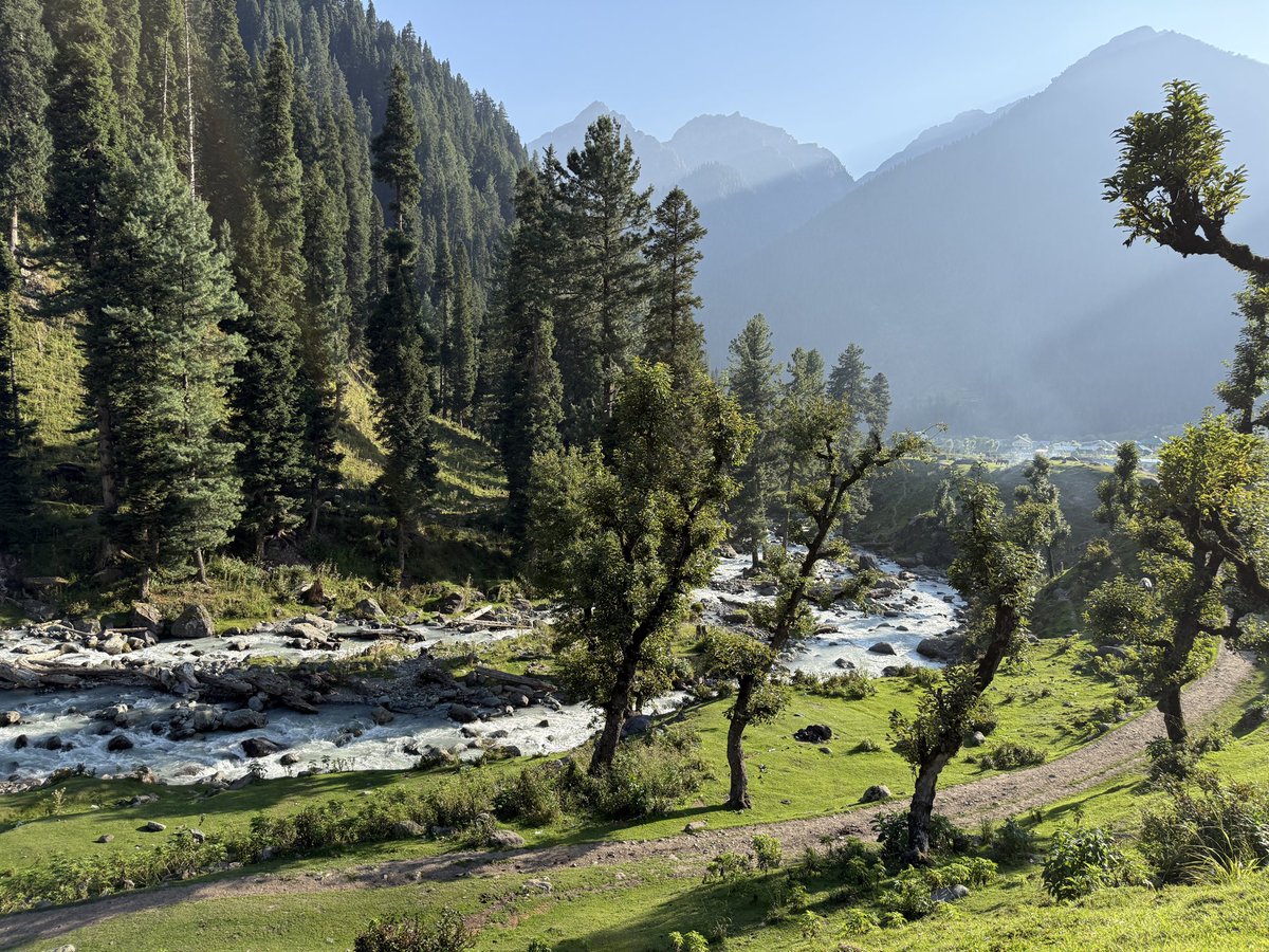 on_uws's tweet photo. @himalayanguy_7 Aru Valley, Kashmir https://t.co/souOElTE5e