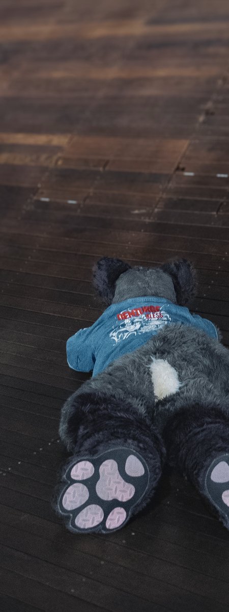 eisuke_fur's tweet photo. 💤 https://t.co/4caAkMd9jl