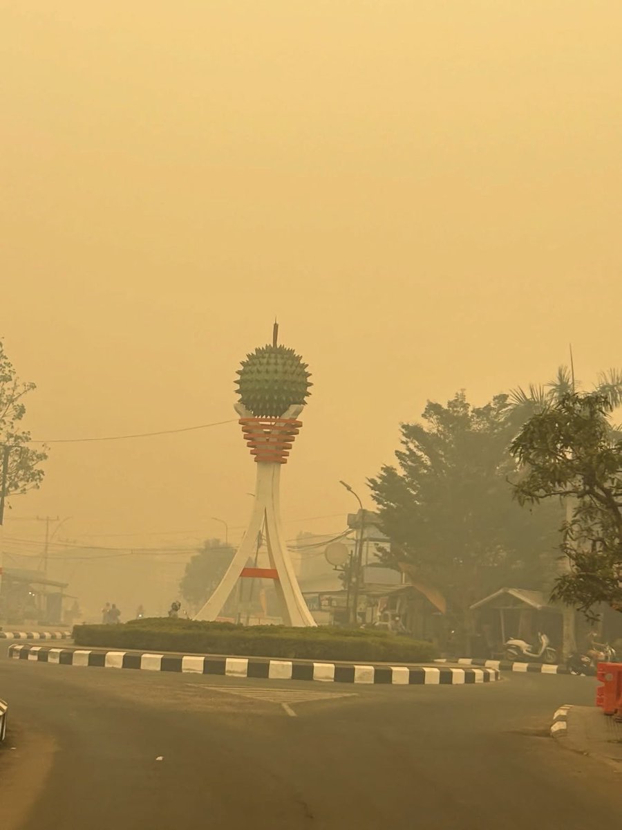 komisarisnetzen's tweet photo. Kalimantan masih tidak baik-baik saja!!!
Udaranya seorange ini, ga kebayang jadi warga sana setiap hari separah apa udara yang harus terhirup.

📍Sukadana, Kayong Utara, Kalbar https://t.co/m6bHF6Byt8