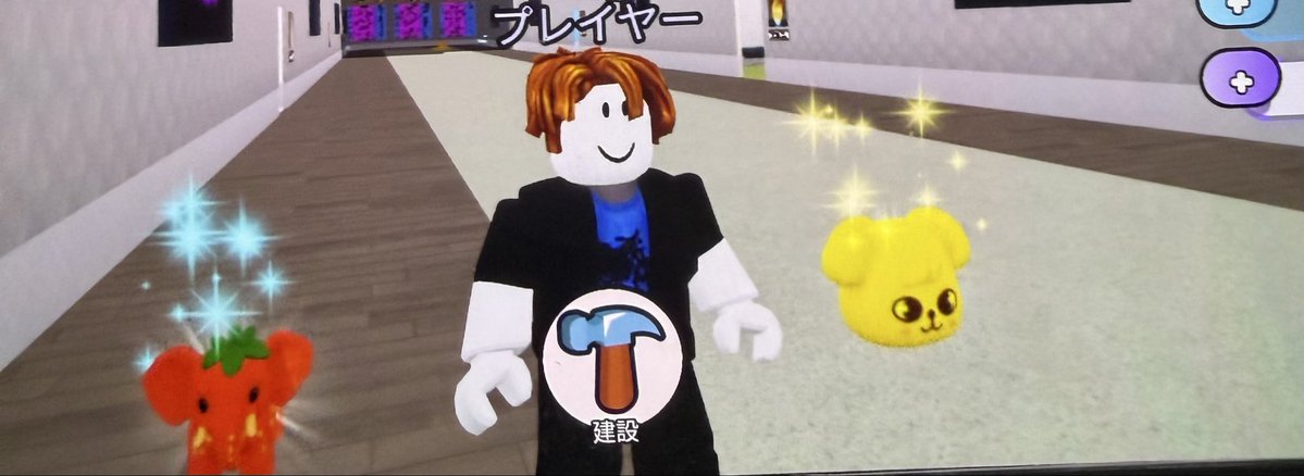macho246810's tweet photo. 子がロブロックスでパピムを見つけた。おそらく非公式。びっくりした https://t.co/7N0H3z4ZTp