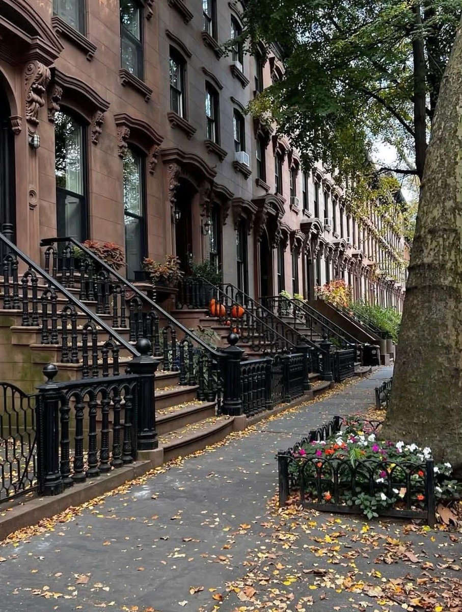 earthserenityy's tweet photo. Autumn in New York https://t.co/clqOyUt7vA