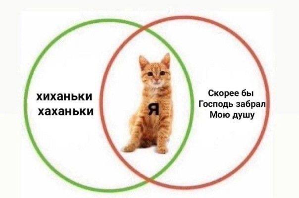 trmdllxn's tweet photo. сегодняшний день будет ощущаться буквально: https://t.co/6td0fqHWAw