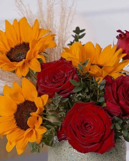 sunflowerchives's tweet photo. a perfect little love story https://t.co/5hwo67lp0i