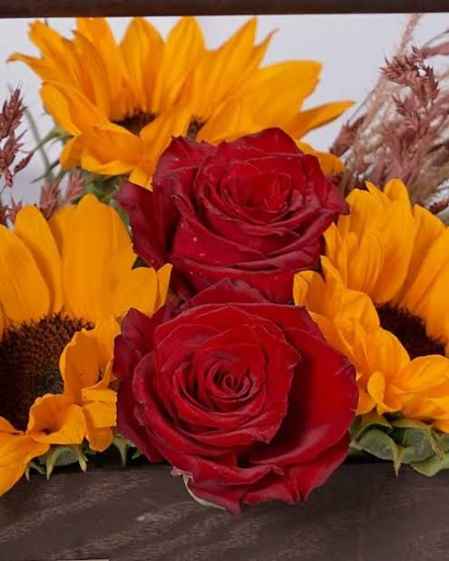 sunflowerchives's tweet photo. a perfect little love story https://t.co/5hwo67lp0i