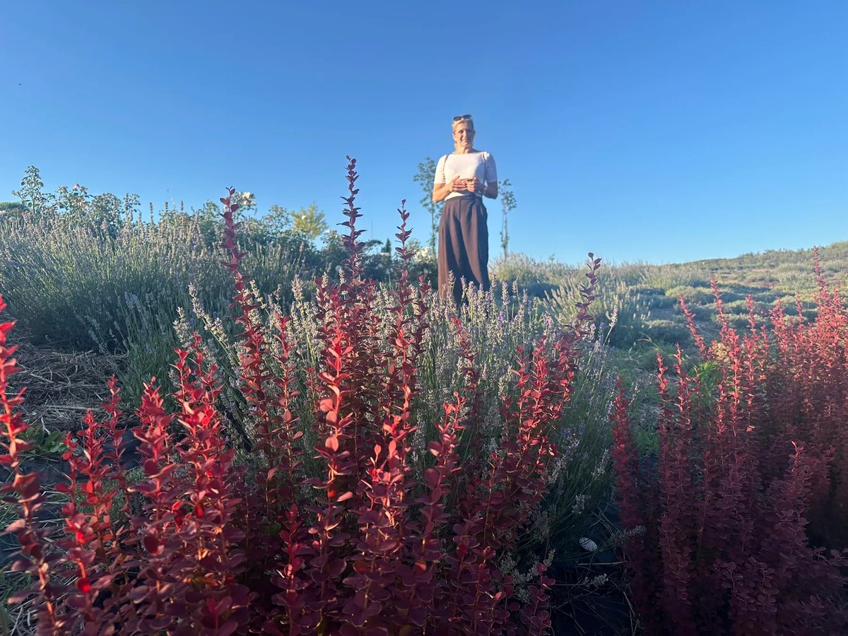 AndrewJonejtrs's tweet photo. Do not overlook your own magic. Do not water down the dream. https://t.co/xebdV8LeTq