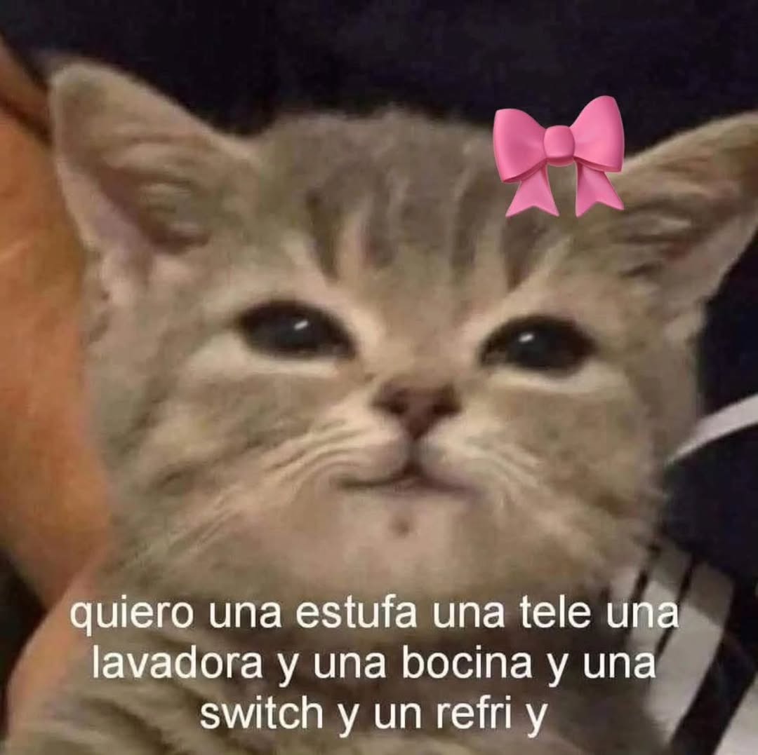 patsywhit3be's tweet photo. Igualmente, un horno y una licuadora. https://t.co/rrbrHnZBc6