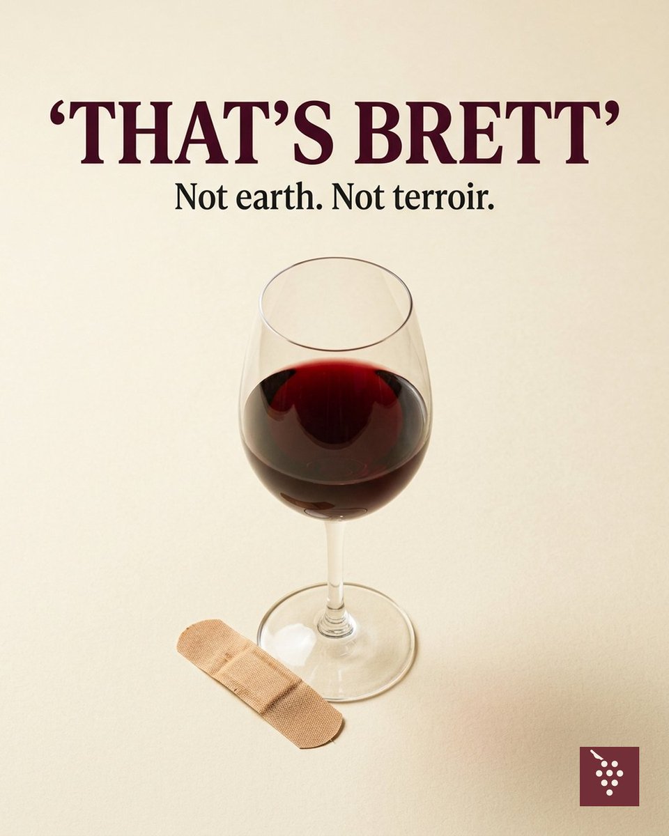 VyneWineApp's tweet photo. Band-aid, barnyard, mute fruit — that's Brett, not "earth." Reduction can blow off. Brett usually sticks.

A Somm in your pocket. A wine bible on the shelf.
https://t.co/E2cr3lTQOD
#Brett #WineFaults https://t.co/xevwL9LsbJ