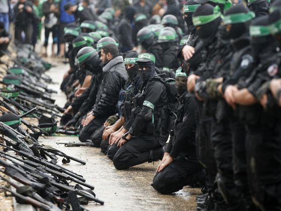 PanzerOTK's tweet photo. @CancilleriaPeru Denuncien a los terroristas de Palestina https://t.co/lAY5DUYdBl