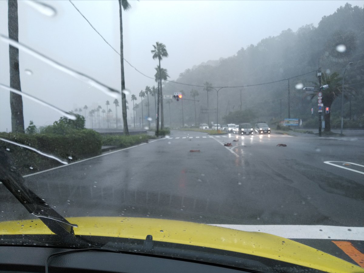 tahka_nsi9's tweet photo. 海沿いの国道135号線バイパスはヤシの木の皮?がそこいらに落ちてる&amp;深水深めのな大きい水溜まりで非常に走りにくい
車中避難場所で道の駅伊東マリンタウン駐車場が解放されてはいるものの海風が危なすぎるので個人的には勧められん( ･᷄ω･᷅ ) https://t.co/qvs2LCxkmx