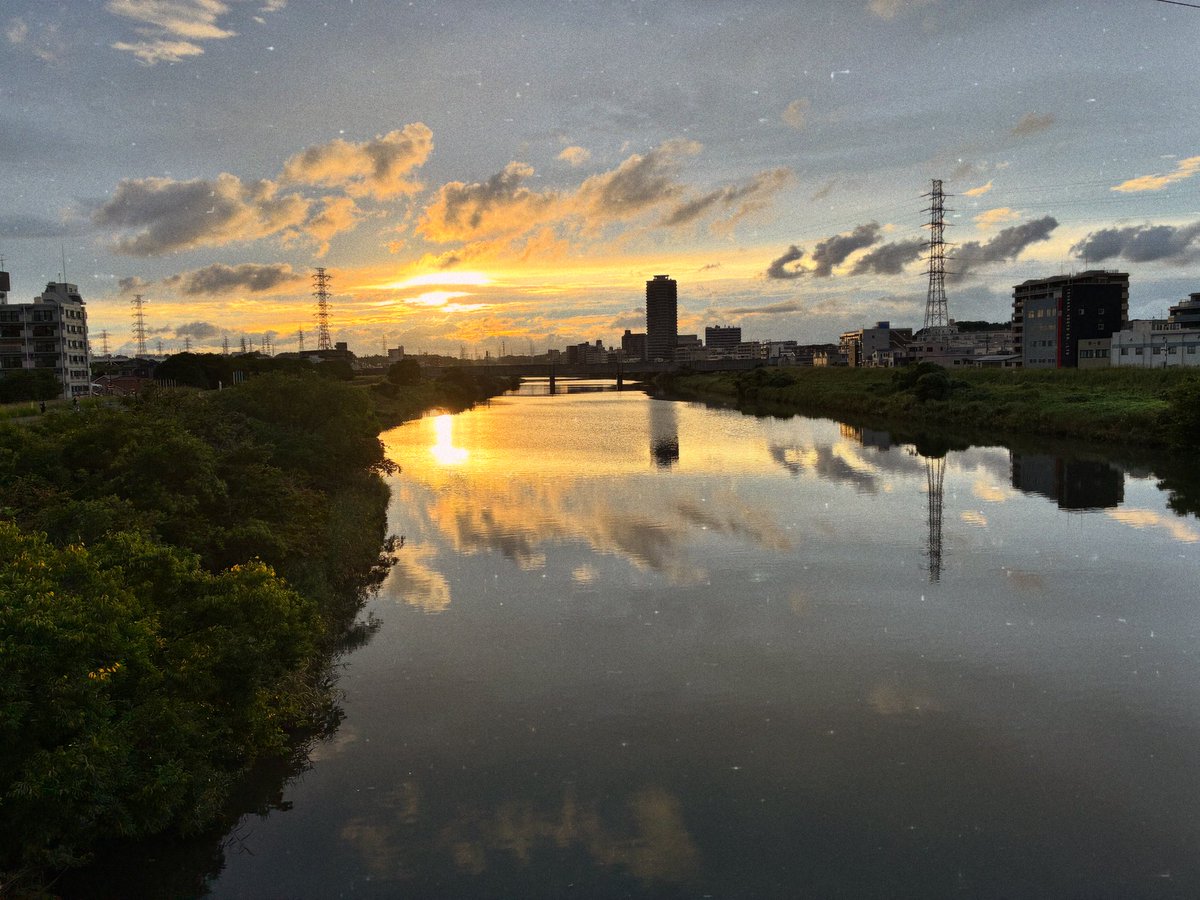 fish69fest's tweet photo. 先週の鶴見川散歩。ボラ、鯉はいっぱい居たな。 https://t.co/Lehfz5Nt0J