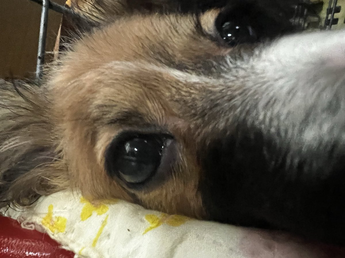 bigbamboo68k's tweet photo. 暇で寝てます😪 https://t.co/N7AL80OerI