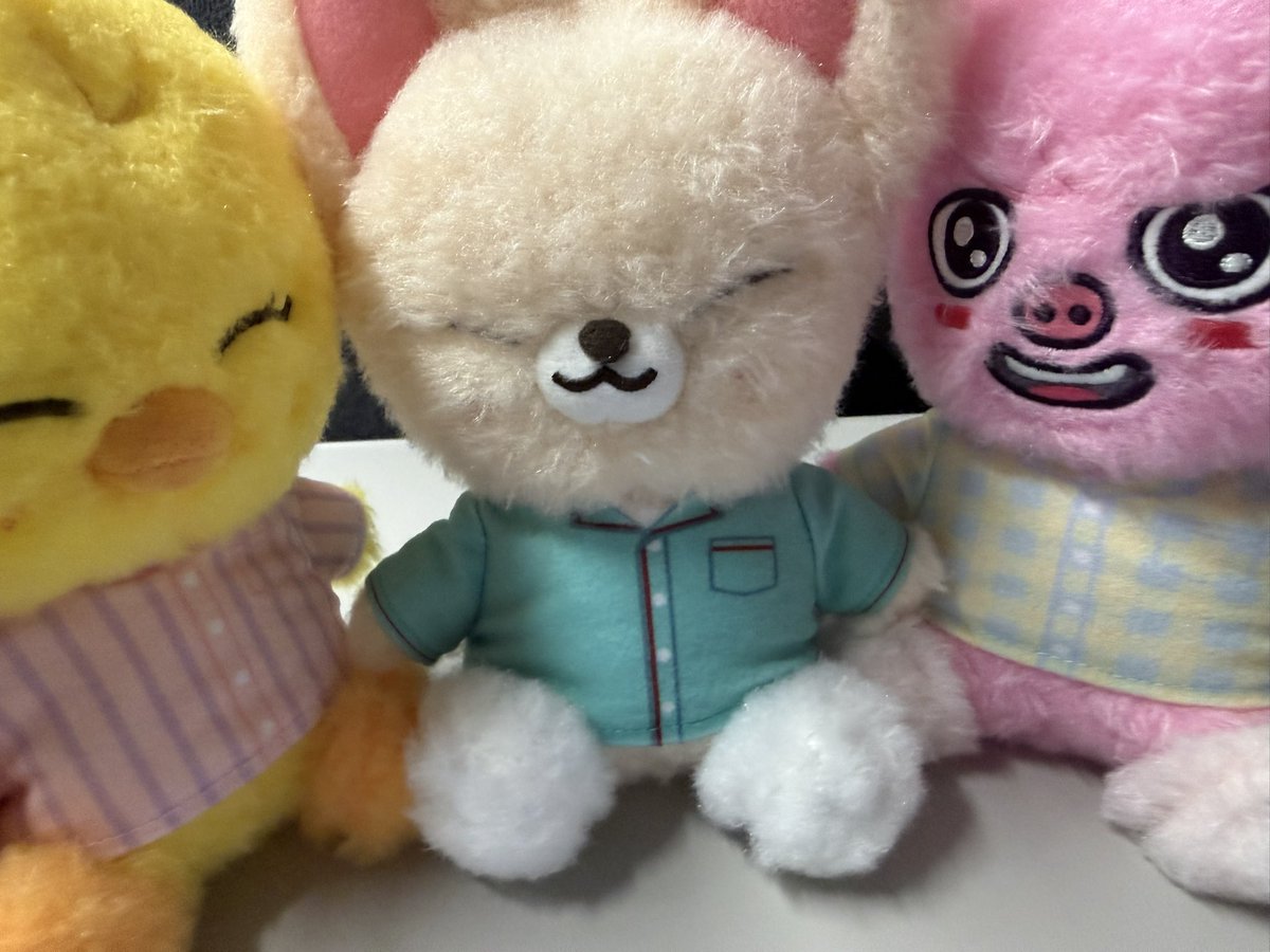 robbinism's tweet photo. スキズの京セラ行くかも、と思って休み希望しておいた3日間はチケット見つからずただの3連休になったし、東京ドームも全滅だったので、とりあえずGiGOのぬいに投資することにしました笑
残りはウルフチャンだけ〜🐺💦
あと、たくさん睡眠を取りました😴
疲労回復💪 https://t.co/x1Ga7lKNzg