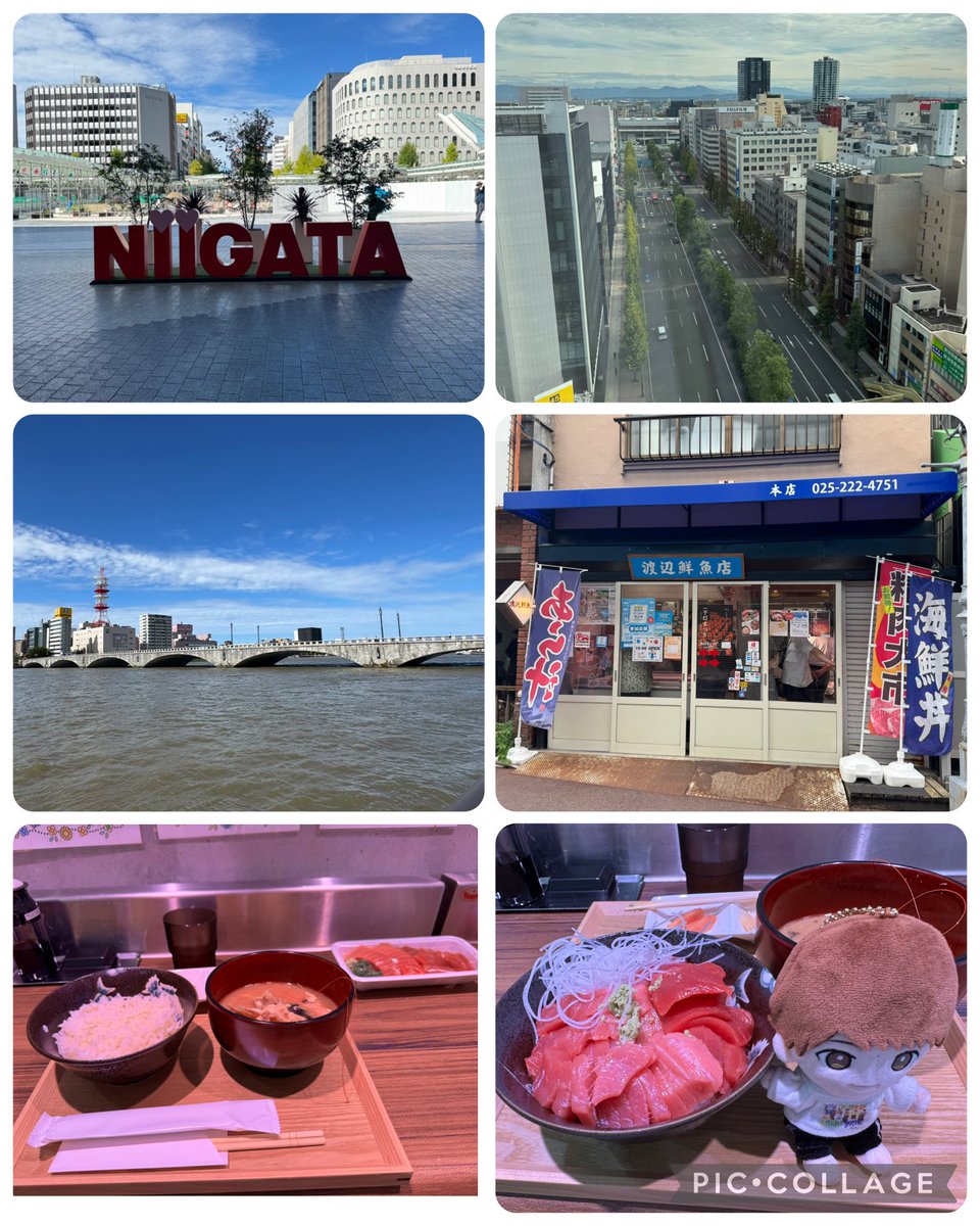0_yumi's tweet photo. ②ホテルに荷物を預けて徒歩で20分くらいの古町へ　
途中笹だんご屋さんで買い物し、たまたま見かけた食事が出来る魚屋さんで食事をしてぶらぶら🚶‍♀️
所々でダンスの集団を見かけアーケードをささっと見て
ホテルに戻り時間までまったり〜 https://t.co/Y4cp6OEKyp
