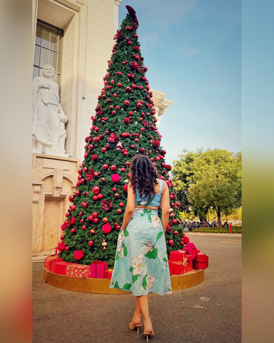AndrewCoyuo's tweet photo. Merry Christmas https://t.co/uNrmv4W02O