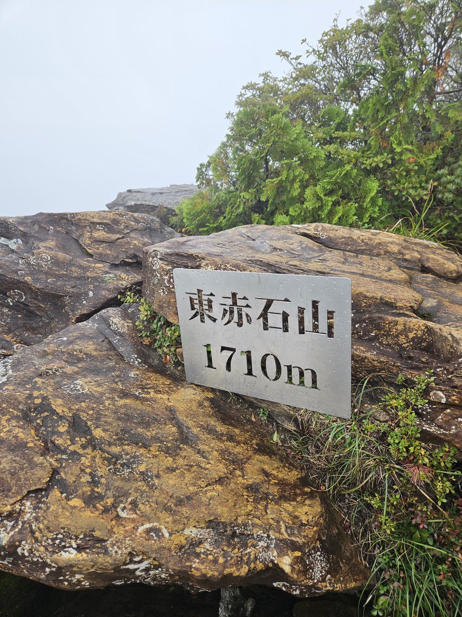 RexxRexx322's tweet photo. 今回四国に来た理由は東赤石山を登るため！
縦走しようと思ったが上の天候が悪く危険と判断して来た道を下りてきました(>_<)
明日ならマシなのかな(^_^;)
完全に消化不良(´д｀|||)
#YAMAP #無事下山 #山歩しよう https://t.co/4zzGgOEixq