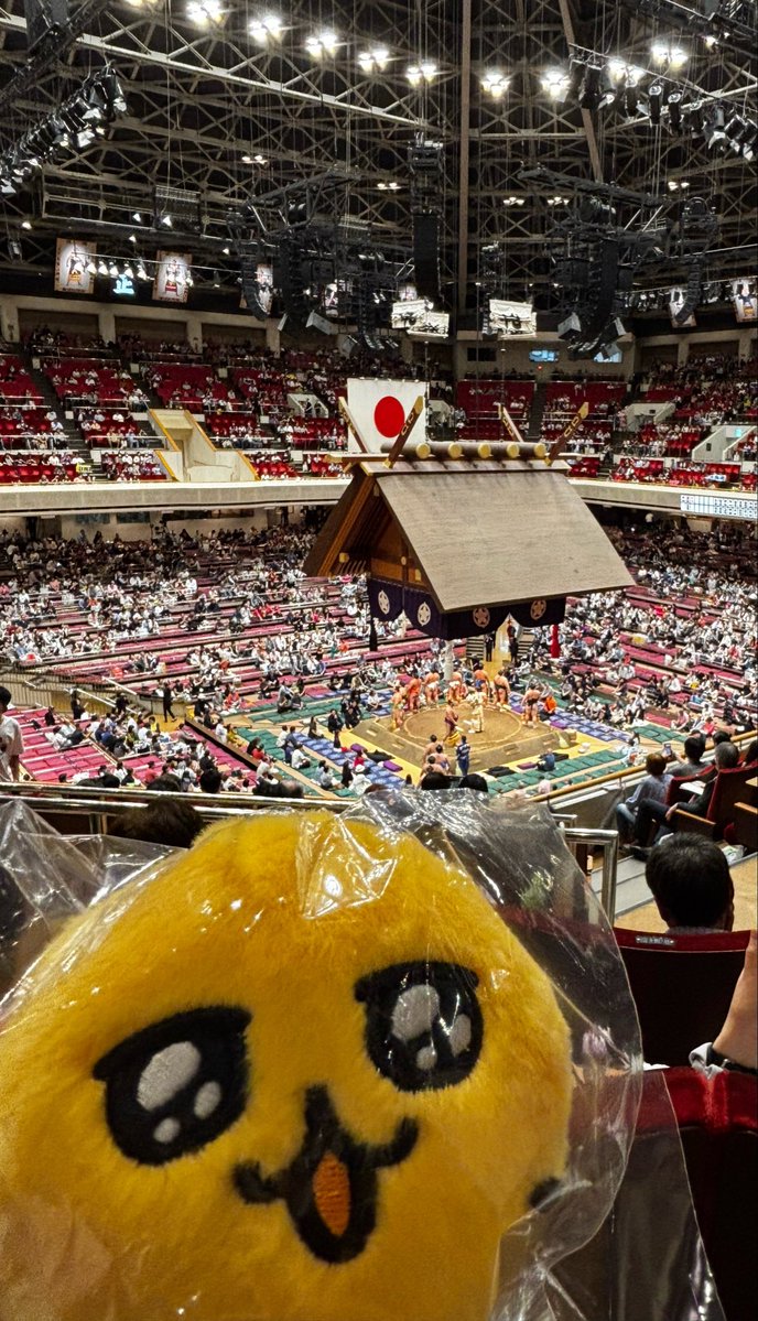 emo_tami4649's tweet photo. ウルちゃん、お相撲だよ
力士はみんな逞しいね💪 https://t.co/3pF4AxvqL5