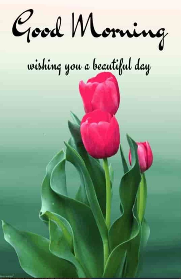 roypapia712's tweet photo. #GOODMORNİNG #EVERYONE #FRIENDS4EVER #HIGHLIGHTS #### https://t.co/V1yWYdvseH