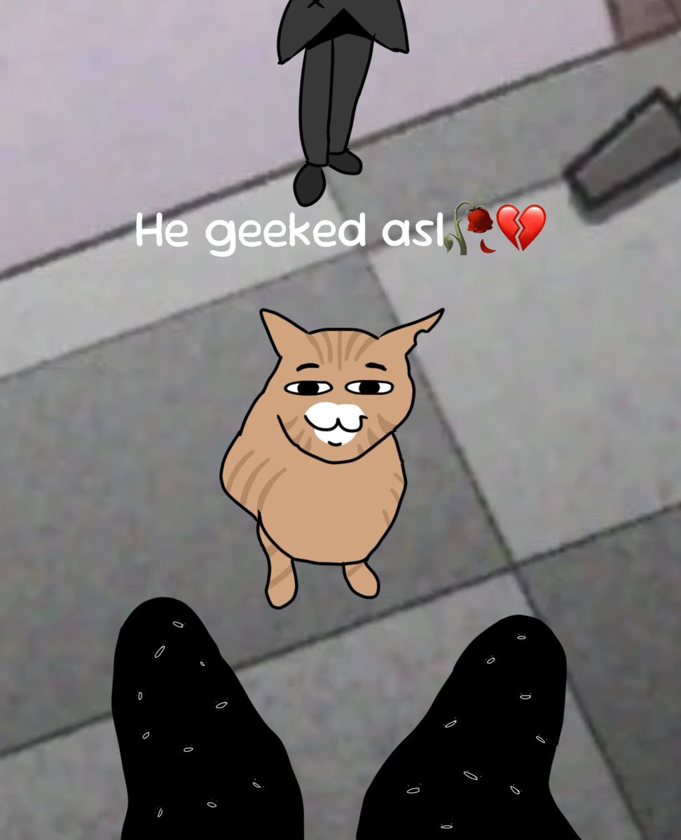 Mewmedias's tweet photo. https://t.co/CJDK0FxXg0