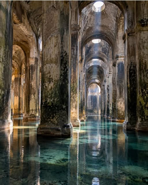 pierpi13's tweet photo. A Bacoli c'è la Piscina Mirabilis, la cisterna romana più grande del mondo: 12.000 metri cubi, 48 colonne, costruita da Augusto per dare acqua alla flotta imperiale.
2000 anni fa conteneva acqua per 10.000 marinai. Oggi è vuota ma perfetta, senza una crepa.
Entri e sembra una cattedrale d'acqua.
Abbiamo cisterne moderne che perdono dopo 5 anni.