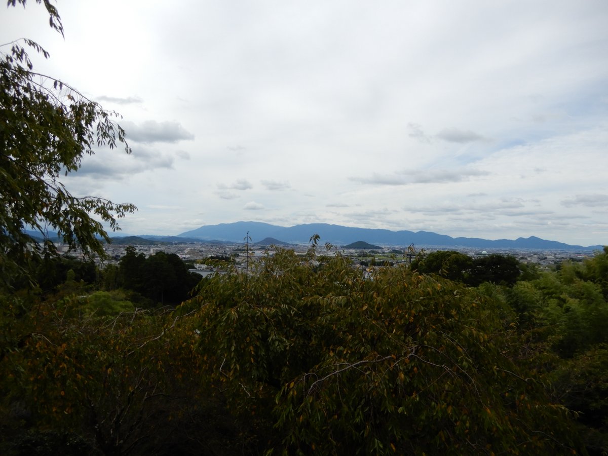 147dentetsu's tweet photo. 昨日の #石上神宮 #朝拝 の後すぐ電車で #大神神社 へ。#狭井神社 で10時半までの #登拝 受付をし #三輪山 の #奥津磐座 まで急坂山道を登り。1時間程で到着し磐座を拝むと心が洗われるよう。写真不可なので記憶に留め、下山後は大神神社を参拝、展望台から #大和三山 #二上山 を見て、良い1日でした。 https://t.co/UQDpCCRur0