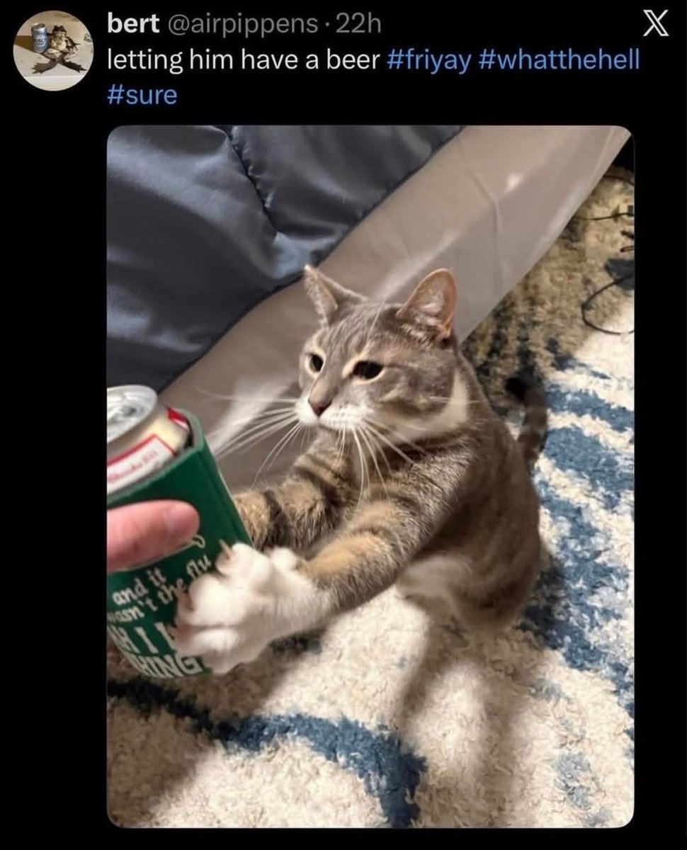 Doshaguma3000HQ's tweet photo. giving my palico a boost bracer https://t.co/RZ6Aemrd9c