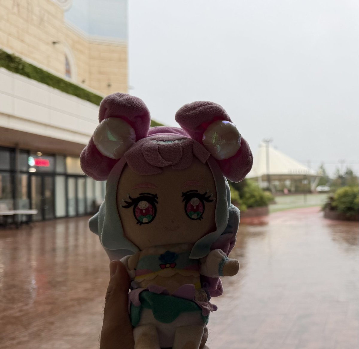 haruosi1110's tweet photo. いつかまたこちら側のステージで元気よくはしゃいでいるプリキュアの姿を見られますように😌 https://t.co/Nt6yjdMX3E