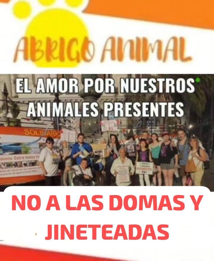 abrigoanimalsan's tweet photo. Siempre a favor de nuestros caballos 20 de septiembre ONG Ambientalista y Animalista Abrigo Animal San Roque https://t.co/BW2IR2MsGP