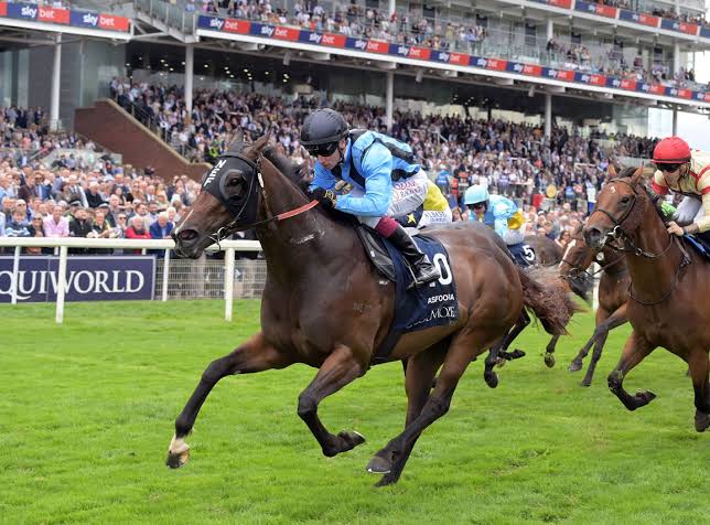 vicbreeders's tweet photo. 🔸From being passed in at $24,000, to a three-time international Group 1 winner🔹

Asfoora’s retirement closes the chapter on an extraordinary 35-start career that delivered 12 victories, more than $3.5 million in prizemoney and unforgettable triumphs at Royal Ascot, York and Longchamp.
Bred by family-run @NEF_stud  in Euroa and trained by Ballarat’s @HDwyerRacing , Asfoora proved that global success doesn’t always require big money—just belief, patience and a little Victorian faith.

Read her remarkable story here: https://t.co/jymq83HXM1