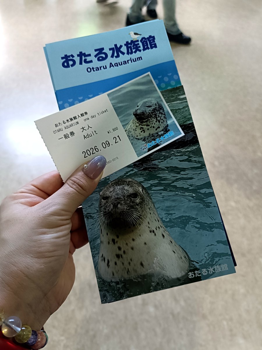 hit2neo's tweet photo. 初・おたる水族館🐧🐟️🦈🪼

有名な全然言うことを聞いてくれないペンギンショーをみて、エサ要求の圧が強いトドとゴマフアザラシに笑ってきました。
鮭丸飲みのトドショーは「前方のお客様、鮭の血が飛び散る可能性が〜…」と物騒なアナウンス流れるバイオレンスな催しでした 笑 https://t.co/YeRHLPKdpQ