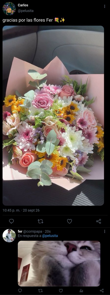 dksoovelvet's tweet photo. One tweet 
Papá celoso 
C.A F.T https://t.co/C5RS5LNah8