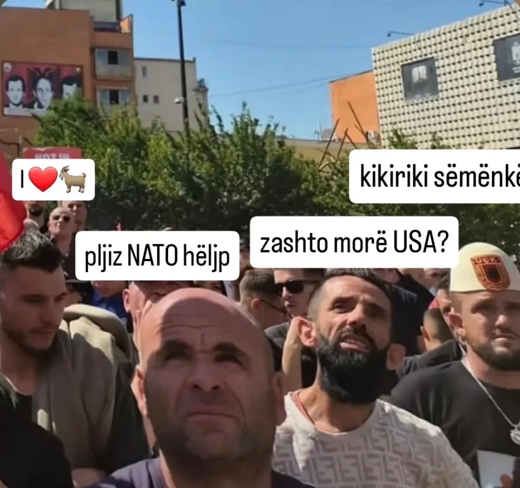 Prebond_Mkd's tweet photo. @rabiayy_ It do be like that with mountain turks https://t.co/f6gqcsyHfa