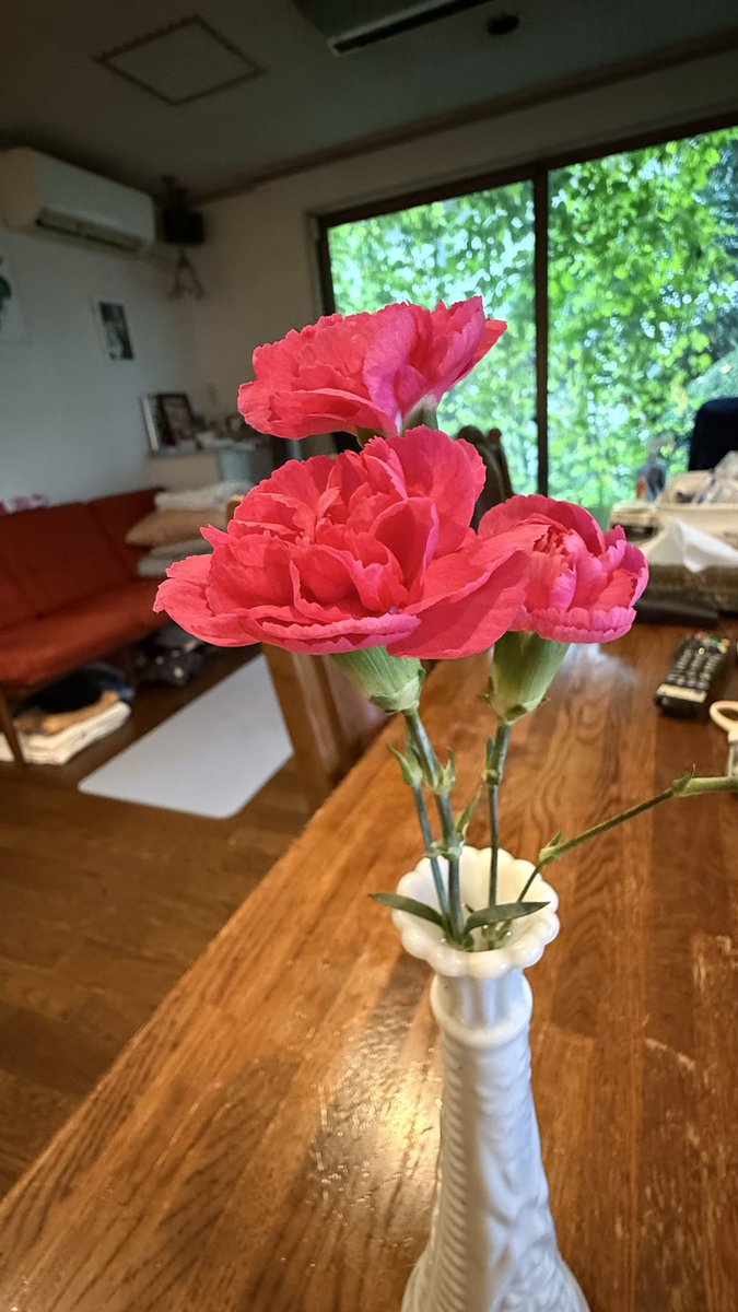okko4126's tweet photo. 敬老の日。
孫がきてくれています。
息子は、京都の帰りに寄ってくれるようです。

生憎の台風。　
朝一の新幹線で、投稿する前に着きました💕 https://t.co/kBYot2uYUi