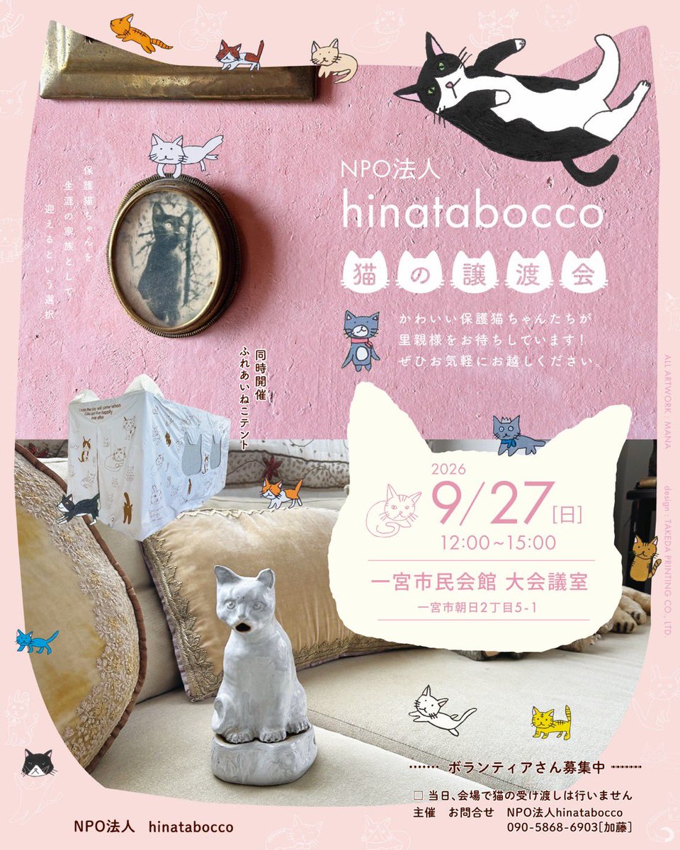 hinatabocco_k's tweet photo. #拡散希望ＲPご協力お願い致します 🙇‍♀️
#猫の譲渡会
#一宮市民会館
hinatabocco譲渡会のお知らせです😸
お外で一生懸命生きてきた猫達
そんな猫達にずっとのお家が見つかりますようにと願いを込めて譲渡会を開催させていただきます。
子猫達もたくさん参加いたします
皆様のお越しをお待ちしております
そして素敵な出会いがありますように🙏💕