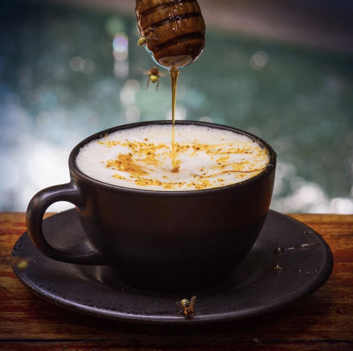 MyBlueEconomy's tweet photo. Meliponas bees do not sting. These peace loving "angels" generate a honey that treats cataract. When you visit Santa Marta (Colombia) visit Caffee MATTA, you will have your coffee with beehives next to you.  There is no risk of a sting, better, you can treat the bees as pets. https://t.co/tdYcHx7y4D