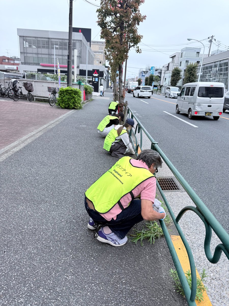 tokyo_ymasuda's tweet photo. 9月19日（土）のクリーンロード大作戦では、雑草抜きが中心の掃除活動になりました。

最近雨が多く、地面が柔らかくなっているので、比較的雑草抜きも楽でした。

明治大学の大学生も初参加してくれて、井の頭通りがキレイスッキリになりました。

#杉並区　
＃クリーンロード大作戦 https://t.co/YUXnkmTnwA