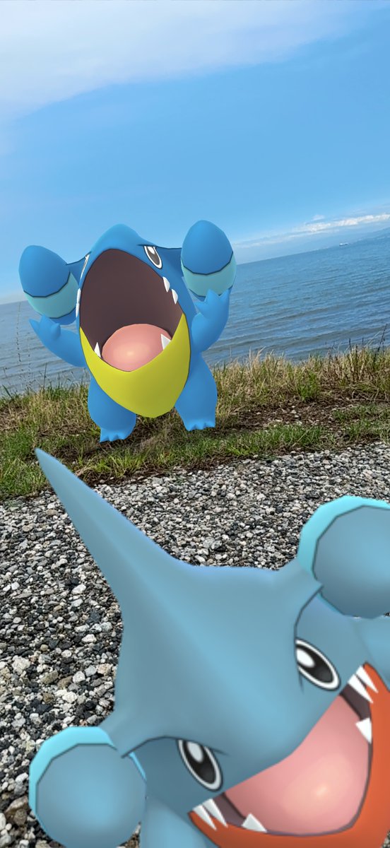 awamegupokeco8's tweet photo. 撮影日:2026年09月12日(土)14:07 #PokemonGOCommunityDay #PoKéMoNGOAR #フカマル #ガバイト #ガブリアス #ShinyPokémon https://t.co/P7fWbPFu3s