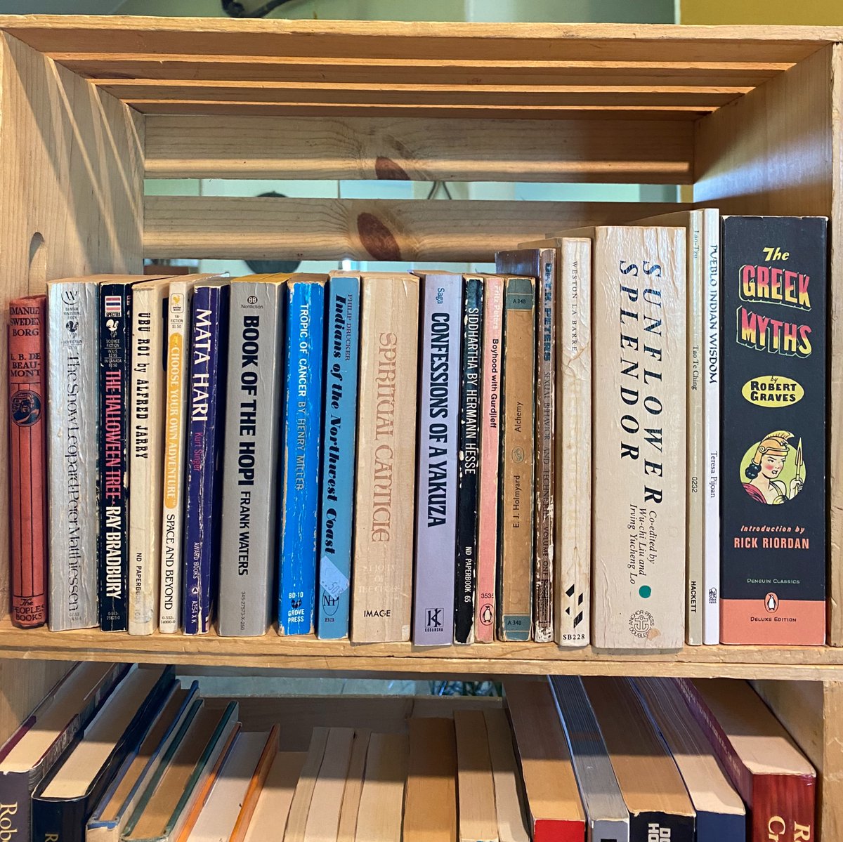 CharlottHowhl's tweet photo. 📚✨
All these still available for you to purchase
Check BUY NOW in story highlights or message me if you want more info on something here https://t.co/fYANGG1f33