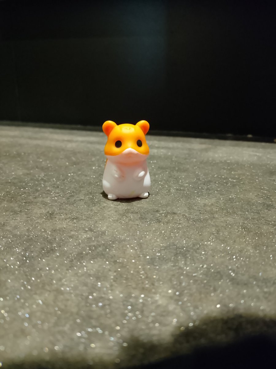 atsumaru612's tweet photo. なぜか洗濯物からはむちゃん🐹
⚠️3枚目リアル写真 https://t.co/Za7nJMjYtg