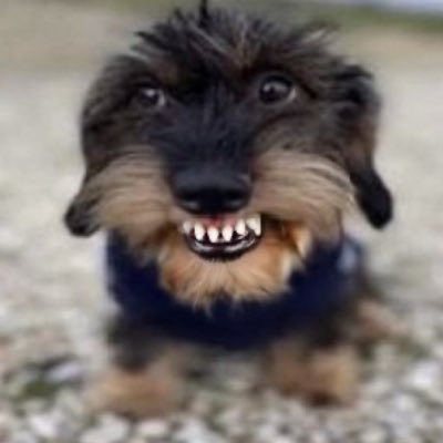 Nivilson's tweet photo. #NovaFotoDePerfil https://t.co/Z8D5yI1sQI