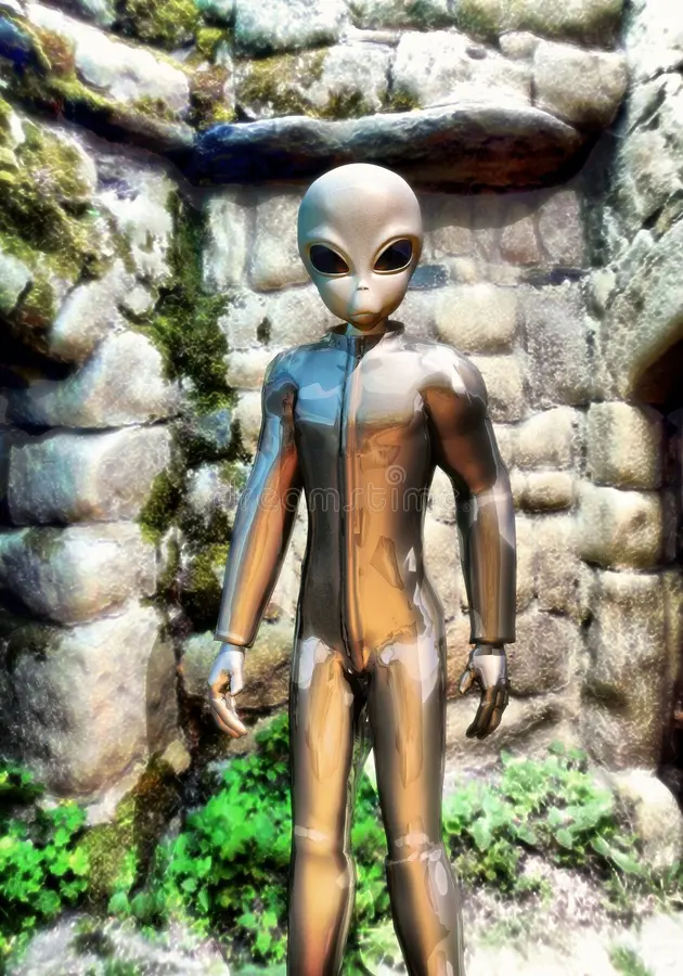 LonganHedhog's tweet photo. @EndWokeness I've seen more human-looking grey aliens https://t.co/QVpQm8J1m7