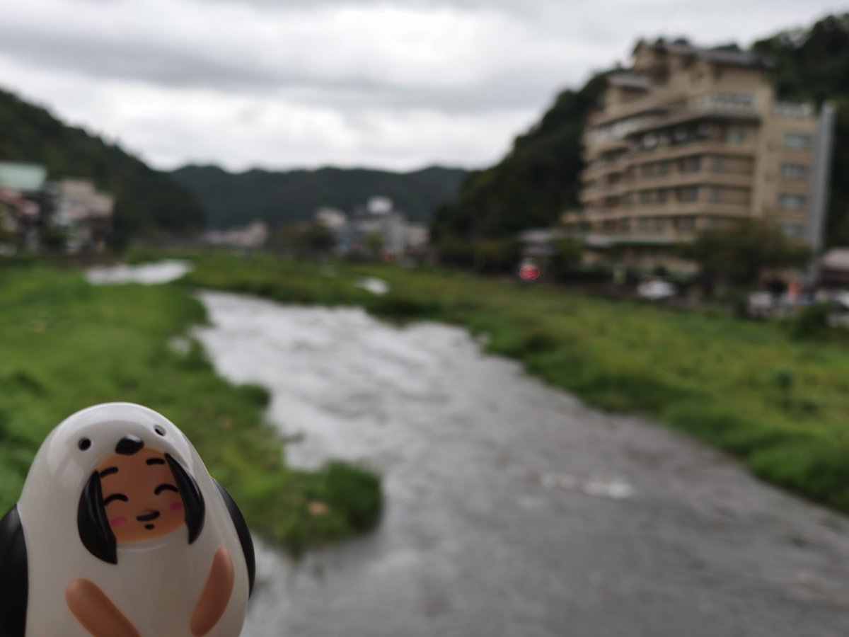 hiro_efu's tweet photo. エナガのなつみ「三朝温泉」 https://t.co/m4i4fACktc