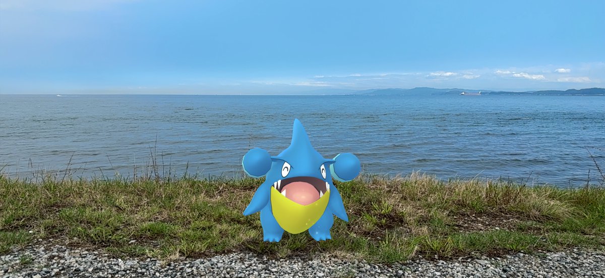awamegupokeco8's tweet photo. 撮影日:2026年09月12日(土)14:20 #PokemonGOCommunityDay #PoKéMoNGOAR #フカマル #Gible #ShinyPokémon https://t.co/7HJbGv2IwH