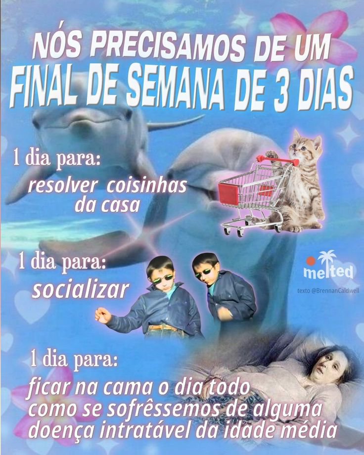 shitpostverdade's tweet photo. https://t.co/VWEW6PuQP0