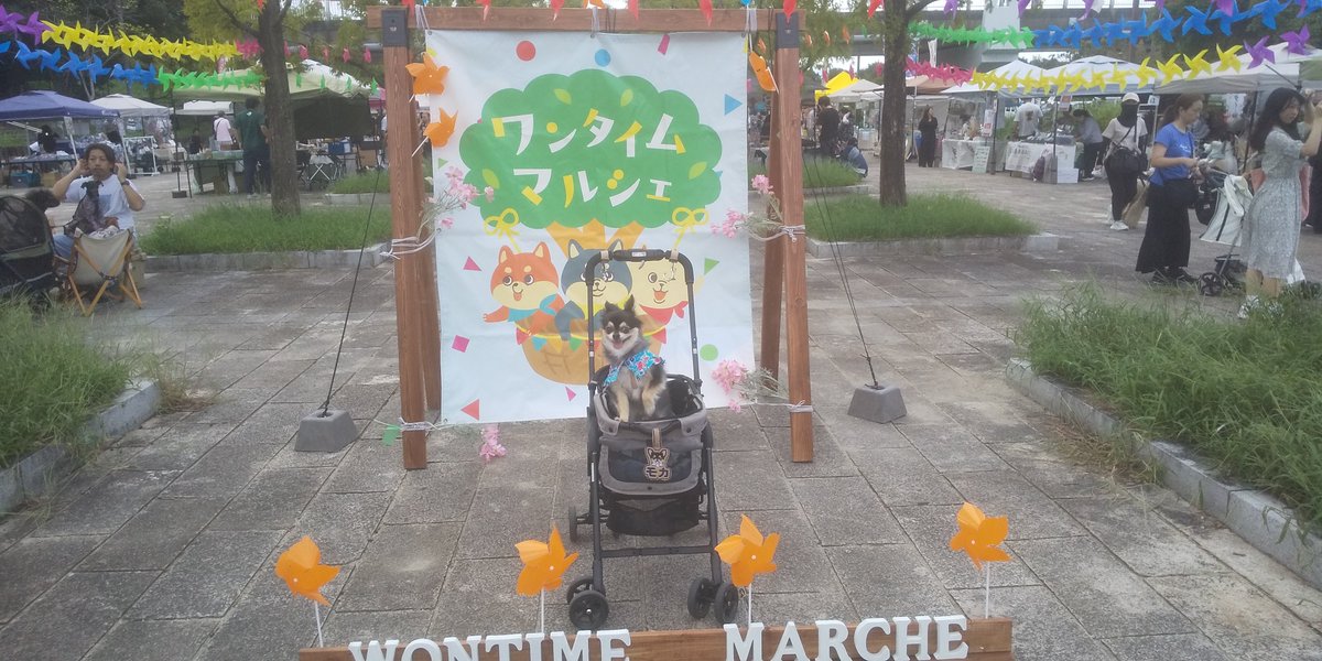 checkhair's tweet photo. 今日の現場🎃👹 深北緑地ワンタイムマルシェ🐶🏠️ふ https://t.co/kN38ULPngN