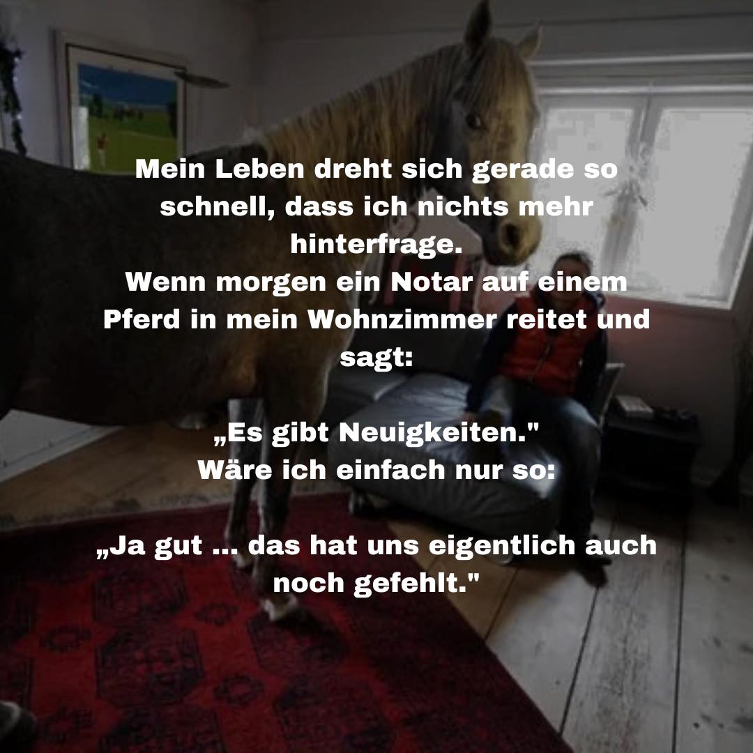 BarbieOhledb's tweet photo. Photo by Johnny Cologne on September 06, 2026. May be an image of text that says "Mein Leben dreht sich gerade so schnell, dass ich nichts mehr hinterfrage. Wenn morgen ein Notar auf einem Pferd in mein Wohnzimmer reitet und sagt: „Es gibt https://t.co/VReFLkKfIB