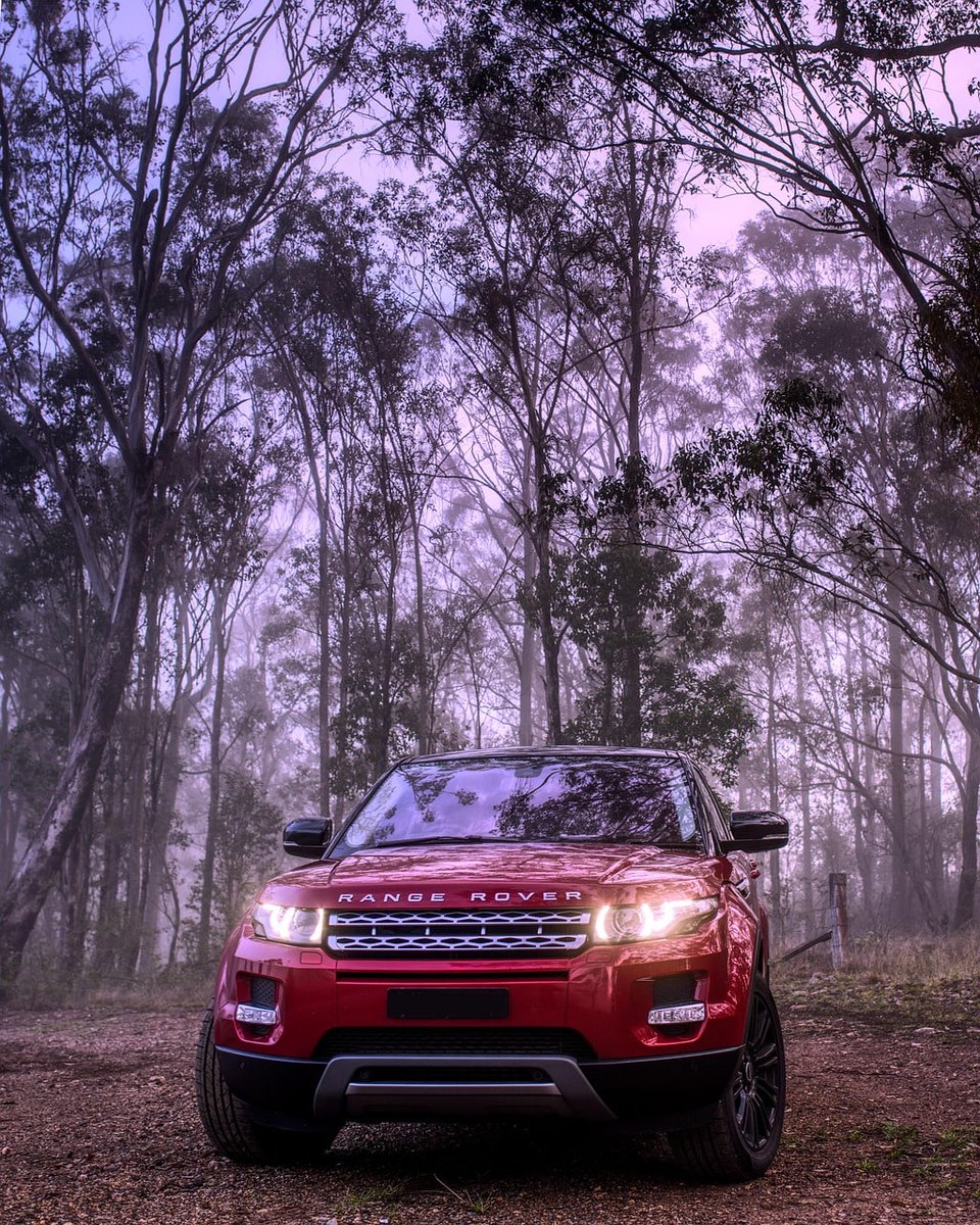 LawsonBryagx's tweet photo. who knew a range rover could look this good in the wild
#car https://t.co/bp3YK9HpSf