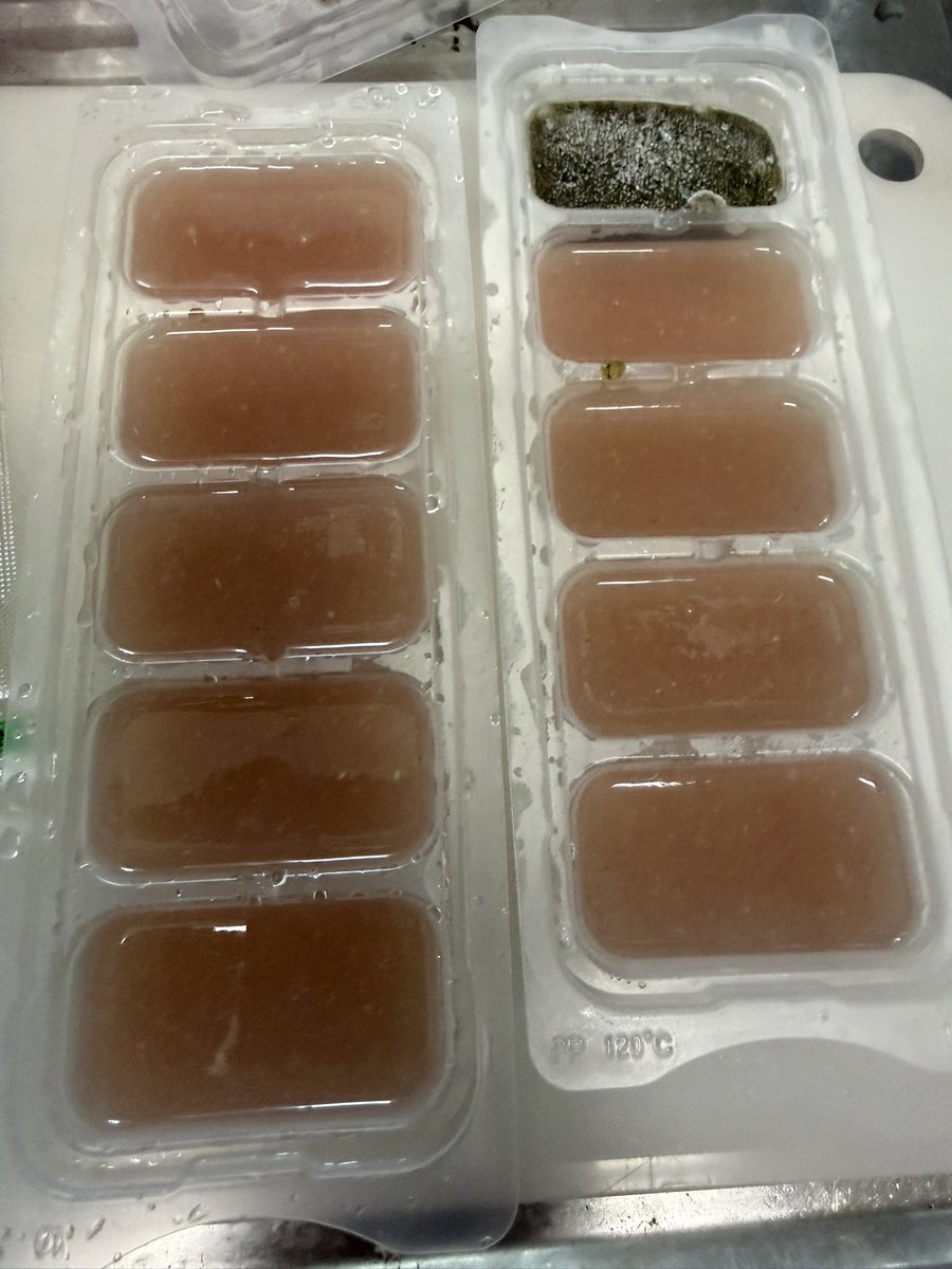 KaimapleM's tweet photo. ブドウ🍇 https://t.co/DyHx7pl8x4