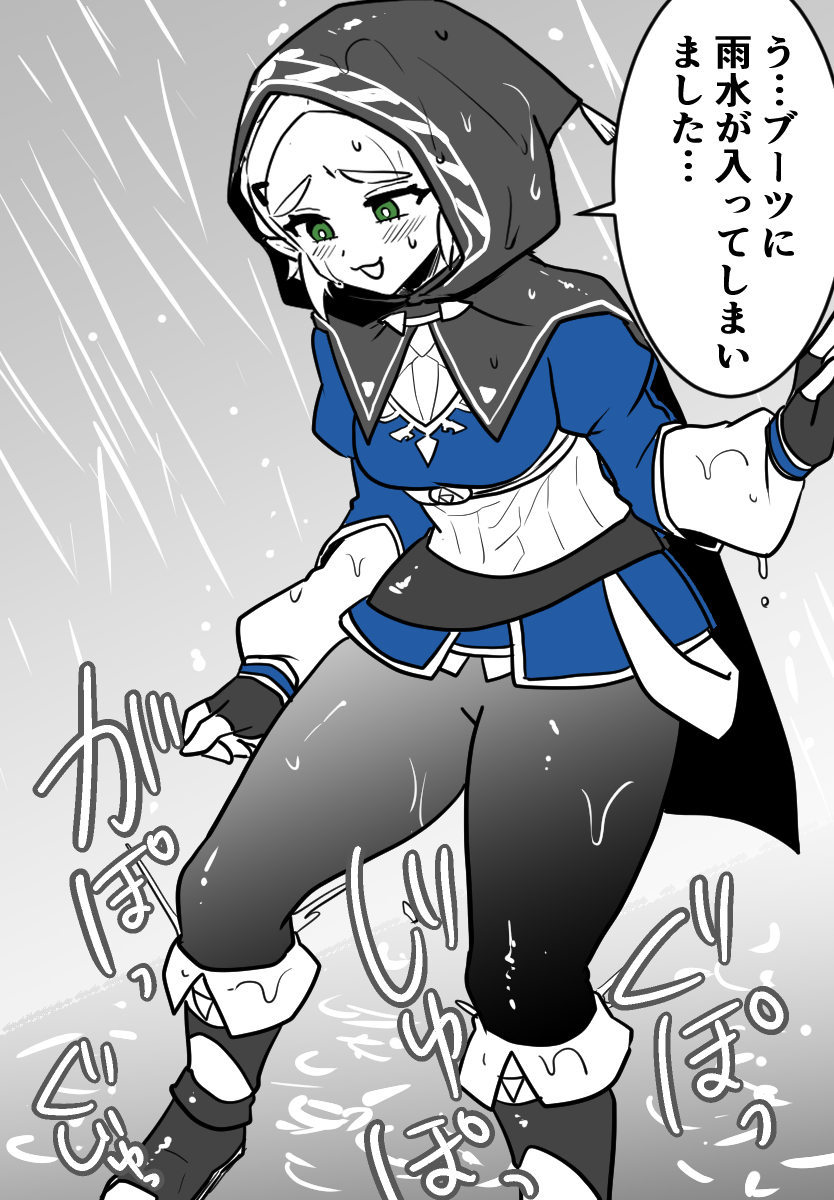 legend7749's tweet photo. 大雨の中出かけてしまったゼルダ様 https://t.co/Ldaqqp5xgU