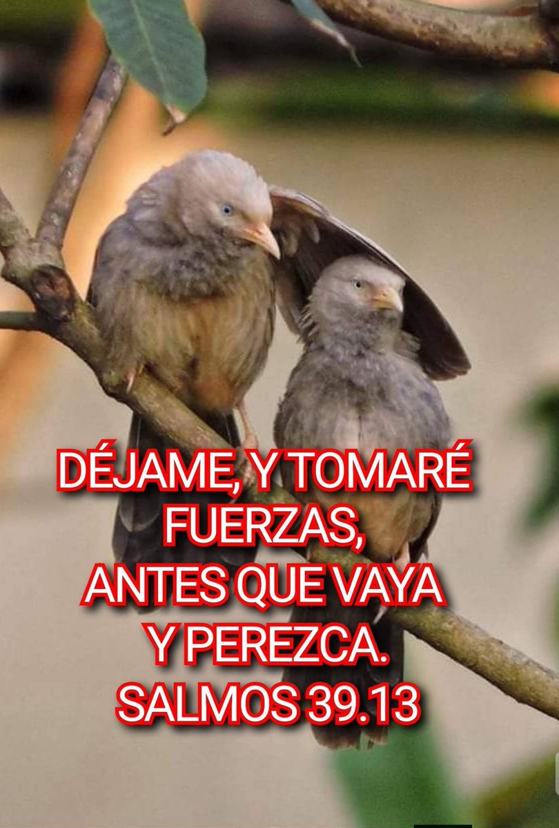 LA2DAVENIDA's tweet photo. https://t.co/BoTWADqkuy