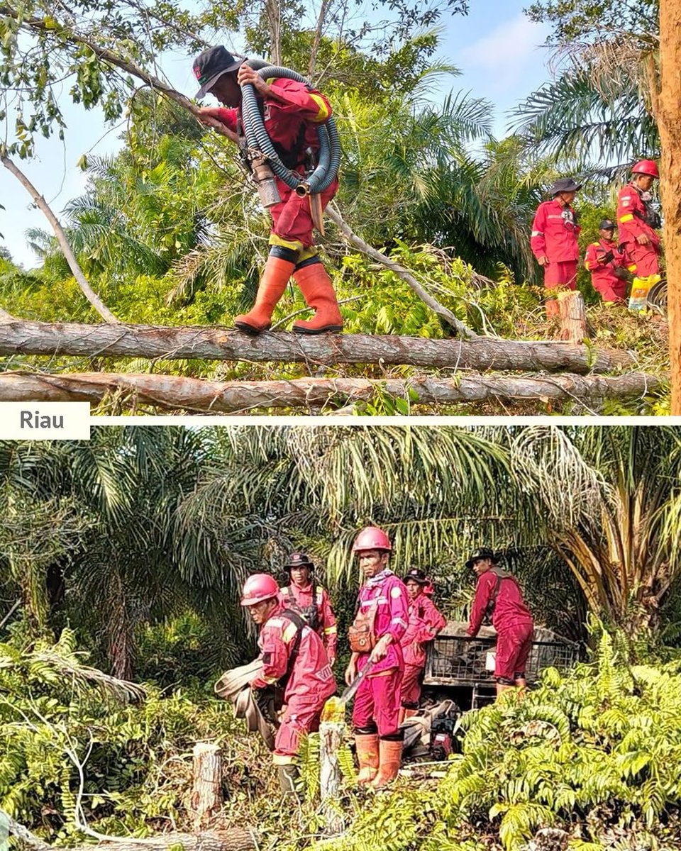 LauraHanbu's tweet photo. Tak hanya dari udara, penanganan karhutla juga dilakukan langsung di lapangan. Water Bombing berjalan bersama operasi darat #SinergiPadamkanKarhutla #OperasiBNPB #IndonesiaLevelUp https://t.co/MqmRGhwZUa